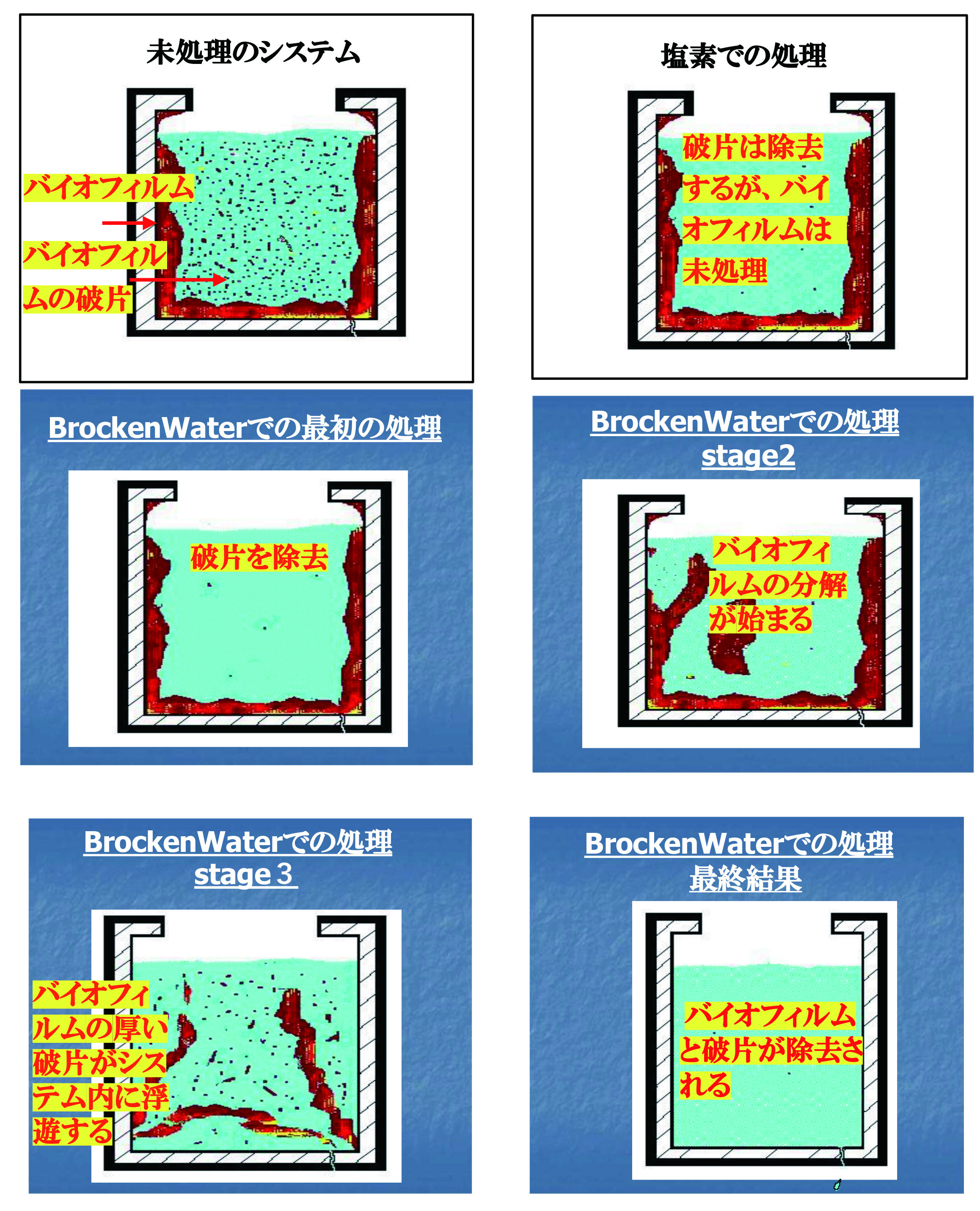 バイオフィルムを理解しないとレジオネラ属菌は破壊出来ない理由